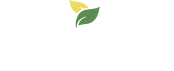 afrivoices