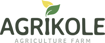 afrivoices